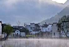 枸杞红枣搭配养生宝，提升免疫力，疾病远离你我他